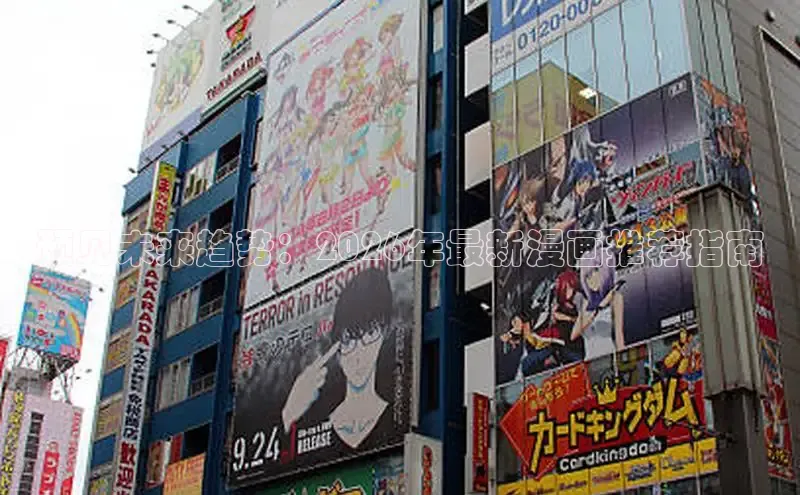 国际赏金