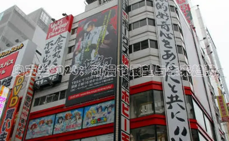 赏金国际手机版